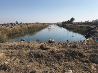 Improve Living Conditions  and Support Livelihoods