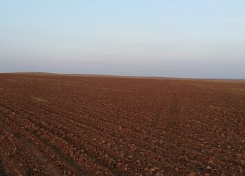 دعم سبل المعيشة وفرص توليد الدخل للمجتمعات الضعيفة