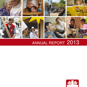 Annual report 2013