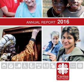 Annual report 2016
