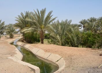 حماية البيئة من أولويات كاريتاس جمهورية التشيك في العراق