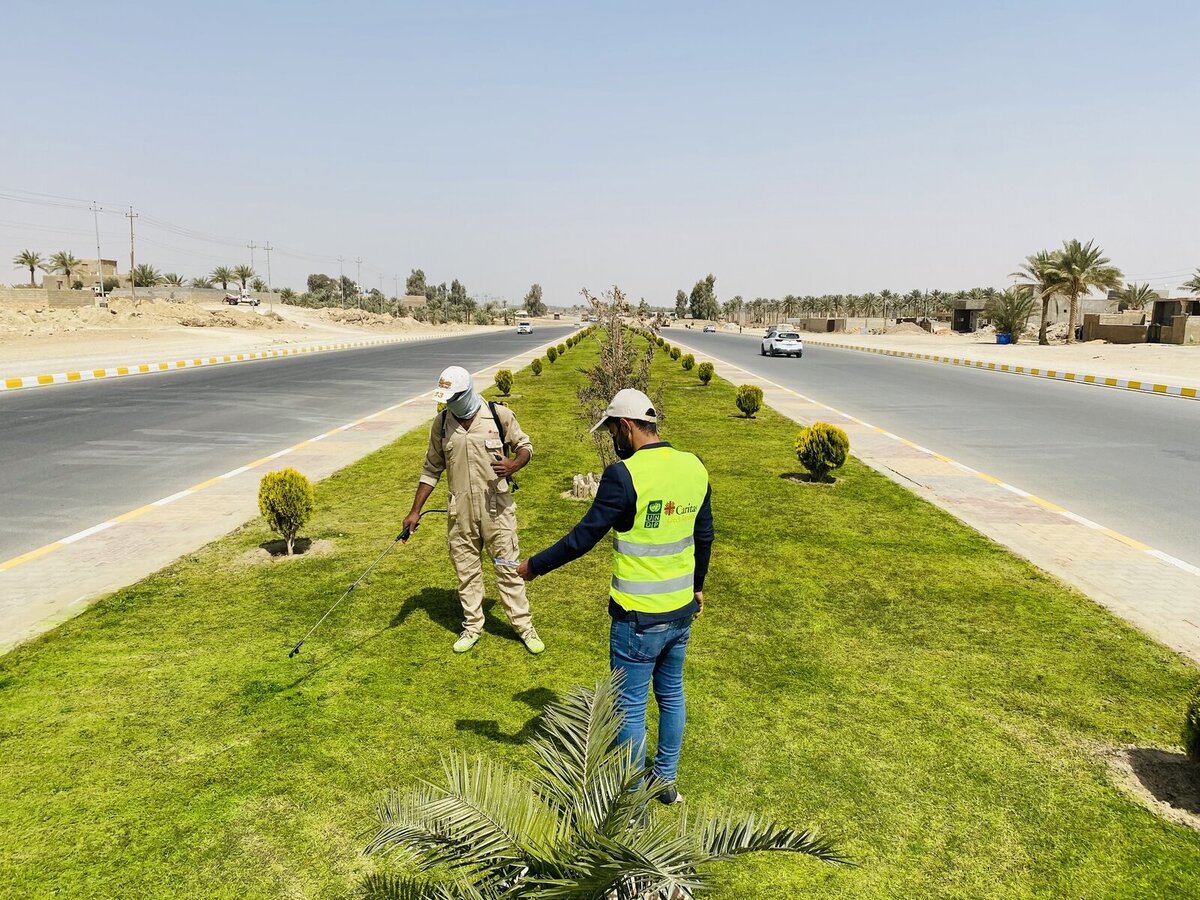 صورة JPEG 5 صورة JPEG 5