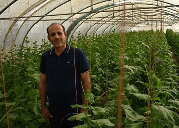 أخيرًا يمكنني زراعة الخضار مرة أخرى، على الرغم من داعش،"  يقول زياد من العراق"