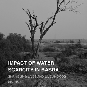 IMPACT OF WATER SCARCITY IN BASRA