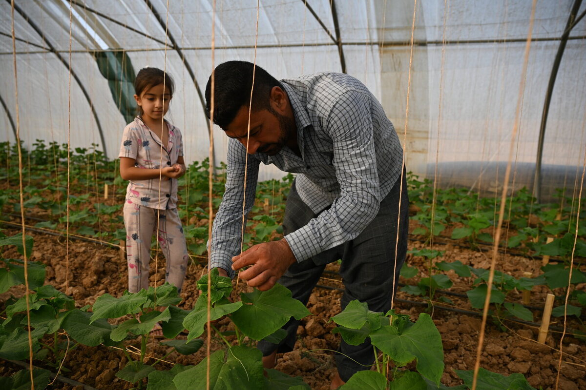 تساعد منظمة كاريتاس جمهورية التشيك المزارعين في العراق الذين عادوا إلى المناطق التي دمرتها داعش تساعد منظمة كاريتاس جمهورية التشيك المزارعين في العراق الذين عادوا إلى المناطق التي دمرتها داعش