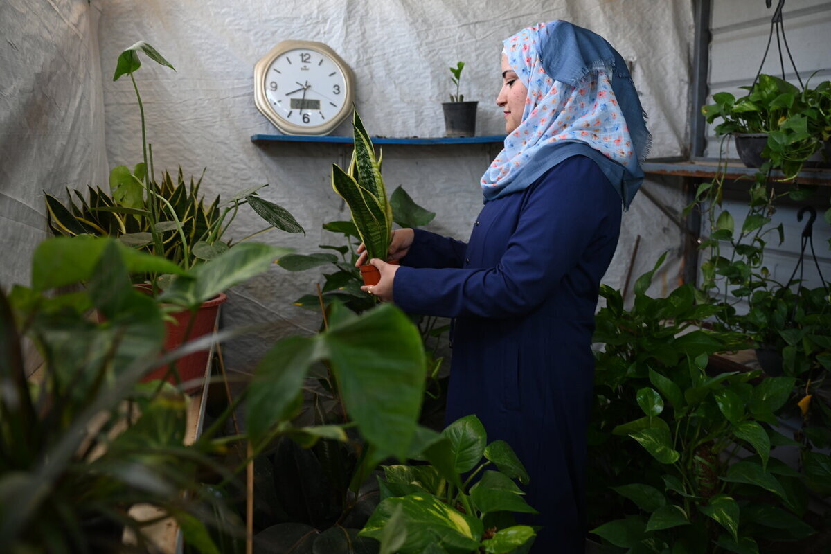 تسنيم تكسب لقمة العيش من بيع النباتات والزهور تسنيم تكسب لقمة العيش من بيع النباتات والزهور