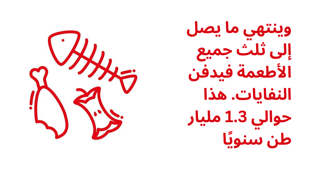 كاريتاس جمهورية التشيك في العراق كاريتاس جمهورية التشيك في العراق