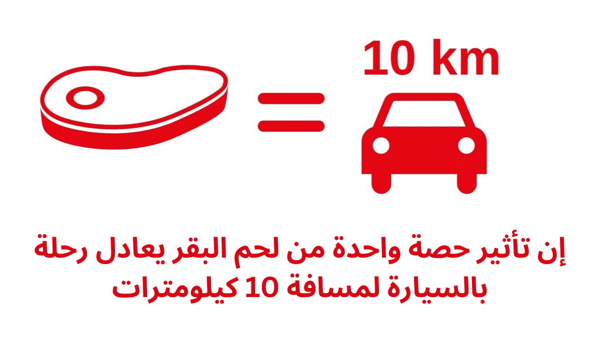 كاريتاس جمهورية التشيك في العراق كاريتاس جمهورية التشيك في العراق