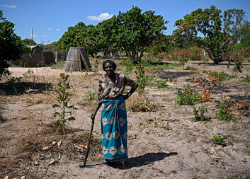 سبعة أشياء قد لا تعرفها عن تغير المناخ